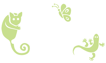 Kellys Beach Resort Bargara